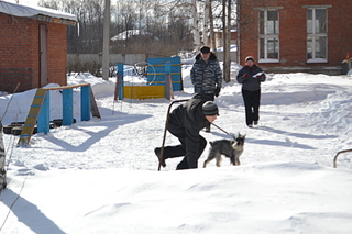 click for enlarge 1920 X 1280 160.1 Kb picture