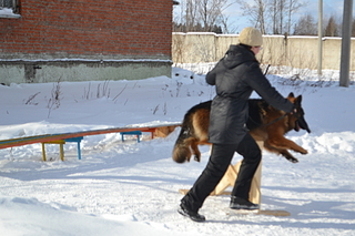 click for enlarge 1920 X 1280 154.1 Kb picture