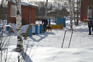 click for enlarge 1920 X 1280 209.3 Kb picture