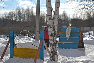 click for enlarge 1920 X 1280 250.5 Kb picture