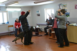 click for enlarge 1920 X 1280 122.5 Kb picture