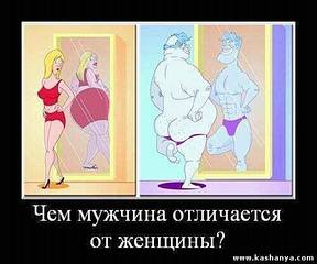 click for enlarge 500 X 416 30.8 Kb picture