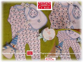 click for enlarge 1920 X 1442 307.9 Kb picture