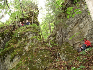 click for enlarge 1920 X 1440 522.8 Kb picture