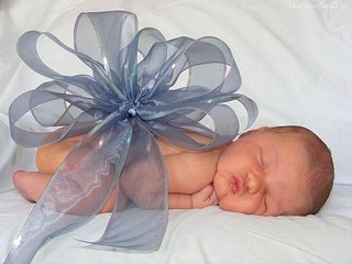 click for enlarge 604 X 453  53.2 Kb picture