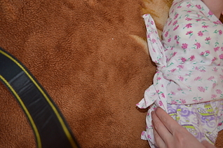 click for enlarge 1920 X 1271 216.1 Kb picture