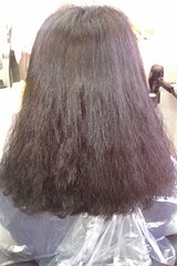 click for enlarge 1728 X 2592 779.3 Kb picture