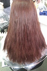 click for enlarge 1728 X 2592 841.2 Kb picture