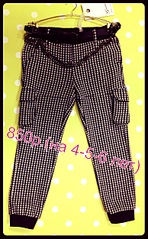 click for enlarge 1549 X 2499 486.9 Kb picture