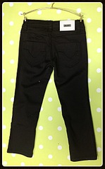 click for enlarge 1613 X 2587 720.2 Kb picture