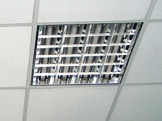 click for enlarge 800 X 600 356.3 Kb picture