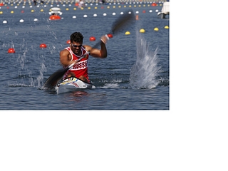 click for enlarge 800 X 600 153.2 Kb picture