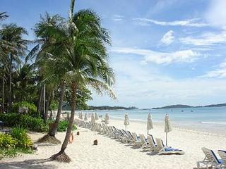 click for enlarge 500 X 375 35.8 Kb picture