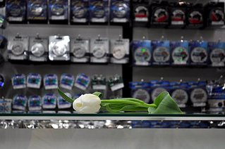 click for enlarge 1920 X 1275 286.6 Kb picture