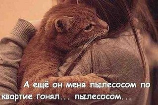 click for enlarge 420 X 279  36.3 Kb picture