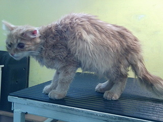 click for enlarge 1920 X 1440 790.6 Kb picture