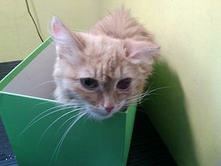 click for enlarge 1920 X 1440 708.3 Kb picture