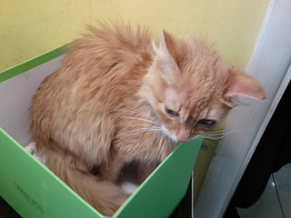 click for enlarge 1920 X 1440 621.9 Kb picture