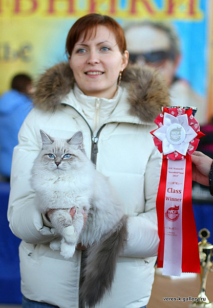 click for enlarge 514 X 740 115.5 Kb picture