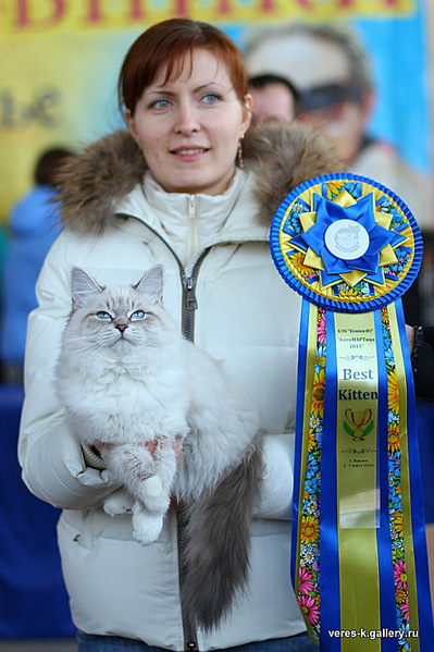 click for enlarge 493 X 740 131.5 Kb picture