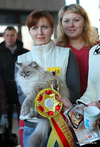 click for enlarge 507 X 740 138.1 Kb picture