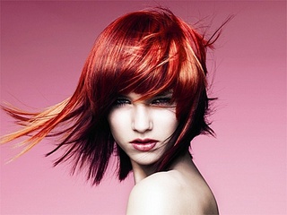 click for enlarge 500 X 375  57.7 Kb picture