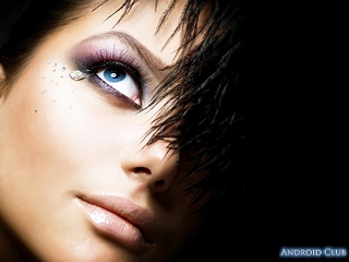 click for enlarge 600 X 450 131.2 Kb picture