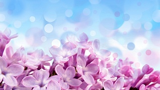 click for enlarge 710 X 399  67.8 Kb picture