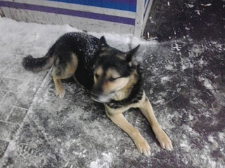 click for enlarge 1920 X 1440 756.7 Kb picture