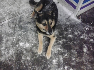 click for enlarge 1920 X 1440 775.8 Kb picture