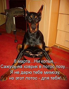 click for enlarge 387 X 500 48.0 Kb picture