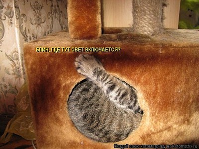 click for enlarge 480 X 360 53.3 Kb picture