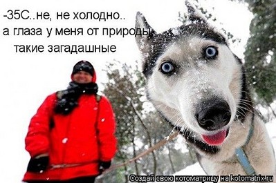 click for enlarge 480 X 319 50.1 Kb picture