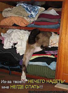 click for enlarge 550 X 750 71.9 Kb picture