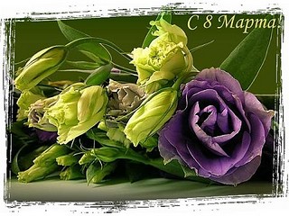 click for enlarge 480 X 360  59.6 Kb picture