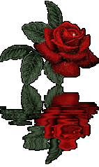 click for enlarge 177 X 298 101.8 Kb picture