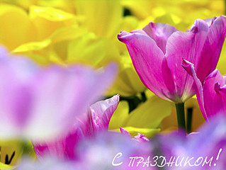 click for enlarge 700 X 525  87.6 Kb picture