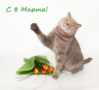 click for enlarge 800 X 733  94.3 Kb picture