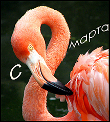 click for enlarge 449 X 500 242.1 Kb picture