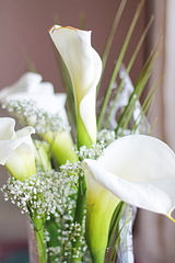 click for enlarge 1920 X 2880 956.6 Kb picture