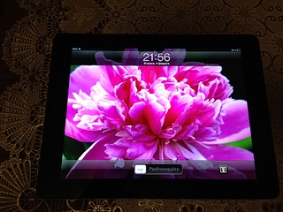 click for enlarge 1920 X 1440 672.8 Kb picture