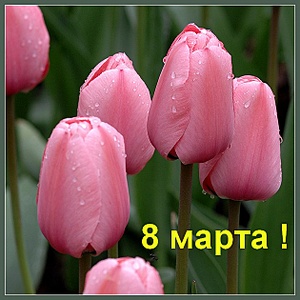 click for enlarge 630 X 630 119.3 Kb picture