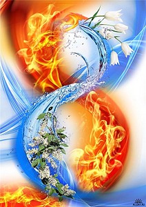 click for enlarge 566 X 800 122.5 Kb picture
