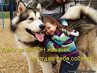 click for enlarge 700 X 525  81.5 Kb picture