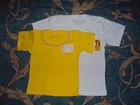 click for enlarge 1024 X 768 314.4 Kb picture