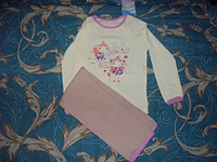 click for enlarge 1024 X 768 371.4 Kb picture