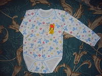 click for enlarge 1024 X 768 372.9 Kb picture