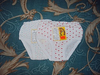 click for enlarge 1024 X 768 356.4 Kb picture