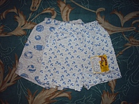 click for enlarge 1024 X 768 365.4 Kb picture