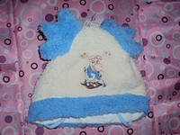 click for enlarge 1024 X 768 297.0 Kb picture